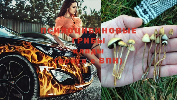 apvp Вуктыл