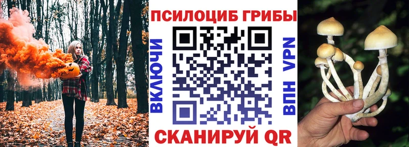 Галлюциногенные грибы Psilocybine cubensis  Купить где  Ликино-Дулёво 